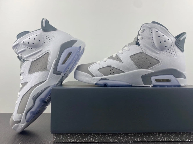 Reps TBK CT8529-100 Cool Jordan Grey Air 6 0709